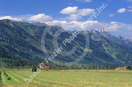 Farmer harvesting hay in a field near Jackson Hole, Wyoming.