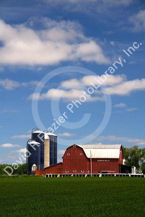 Farm surrounded by green unripe wheat at St. Louis, Michigan. PR