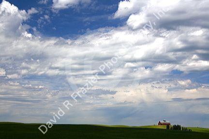 Farmland near Nezperce, Idaho.