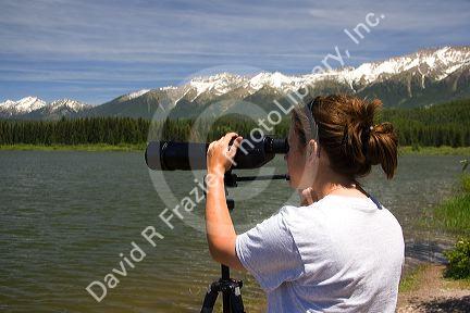 Wildlife biologist using a telescope to view nesting loons at Summit Lake,  Montana.