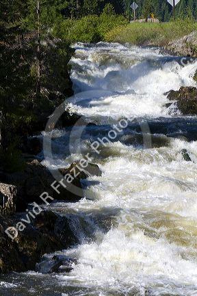 The Little Salmon River in Adams County, Idaho.