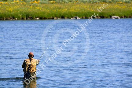Fly fishing at Last Chance on The Henry's Fork in Idaho.