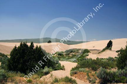 Sand dunes at St. Anthony, Idaho.