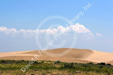 Sand dunes at St. Anthony, Idaho.