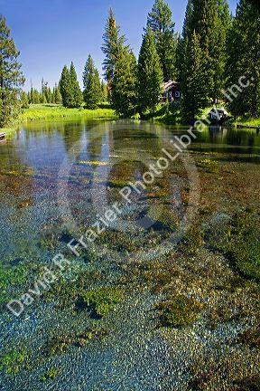 Natural spring water at Big Springs flowing into Henrys Fork inside Island Park, Idaho.