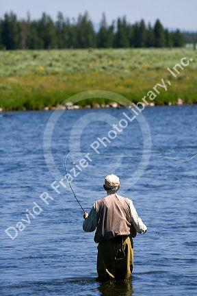 Fly fishing at last chance on The Henry's Fork in Idaho.