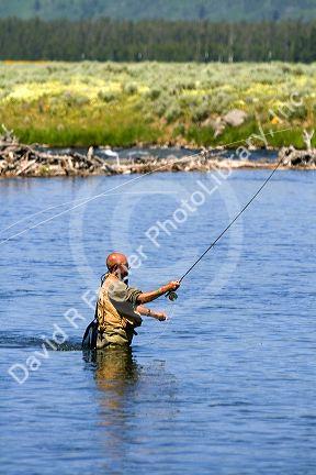 Fly fishing at Last Chance on The Henry's Fork in Idaho.