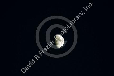 Half Moon seen from Earth.