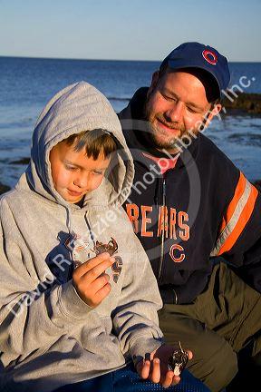 Father and son look at a green crab in the Odiorne Point State Park near the Seacoast Science Center at Rye, New Hampshire, USA.