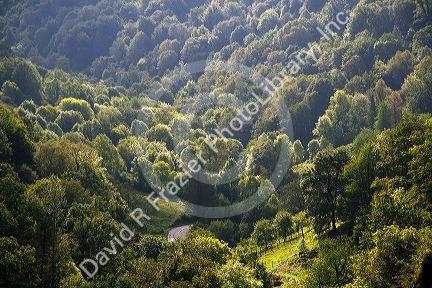 Forested Picos de Europa mountains at Covadonga, Asturias, northwestern Spain. 