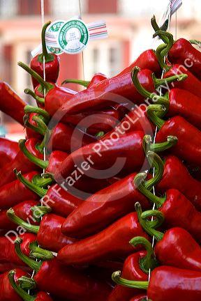 Fresh piquillo peppers for sale in the town of Saint-Jean-de-Luz, Pyrenees-Atlantiques, French Basque Country, Southwest France.