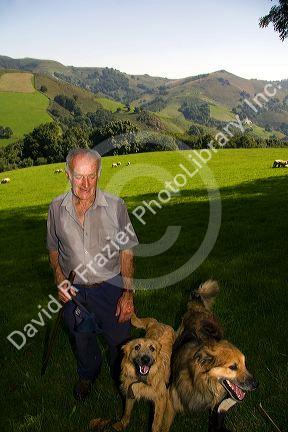 Basque shepherd with dogs and sheep grazing in the Baztan Valley of the Navarre region of northern Spain.