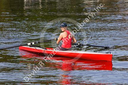 Rowing on the Charles River near Harvard University in Cambridge, Greater Boston, Massachusetts, USA.