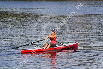 Rowing on the Charles River near Harvard University in Cambridge, Greater Boston, Massachusetts, USA.