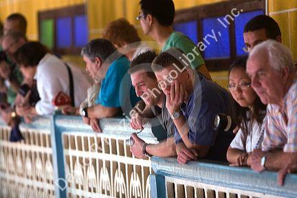 Tourists watching a Cao Dai ceremony inside the Tay Ninh Holy See in Tay Ninh, Vietnam.