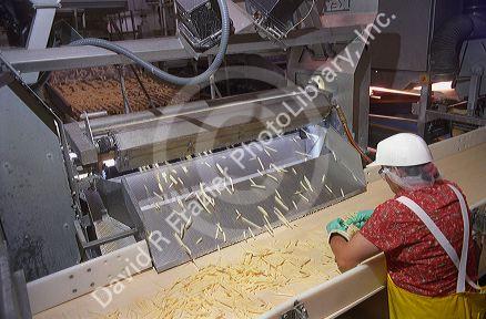 A french fry sorting machine in a processing plant.