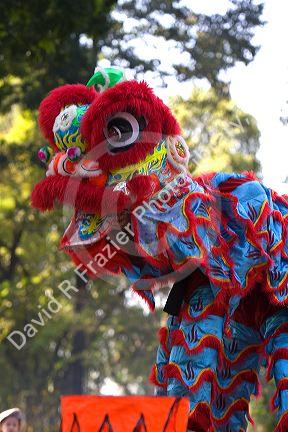 Vietnamese dragon dance during Tet Lunar New Year celebrations in Ho Chi Minh City, Vietnam.