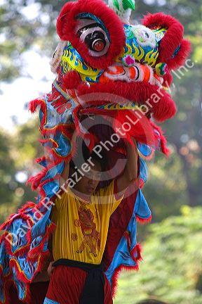 Vietnamese dragon dance during Tet Lunar New Year celebrations in Ho Chi Minh City, Vietnam.