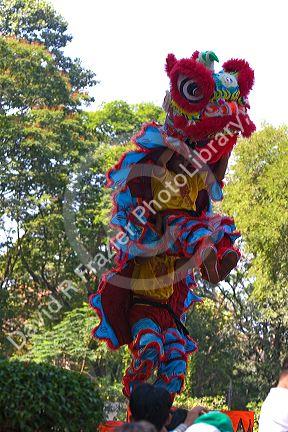Vietnamese dragon dance during Tet Lunar New Year celebrations in Ho Chi Minh City, Vietnam.