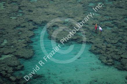 People walking on the reef in Hanauma Bay, Oahu, Hawaii.
