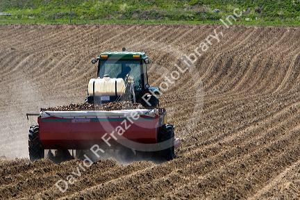 Farmer planting potato crop in Canyon County, Idaho, USA.
