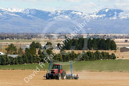 Farmer planting corn crop in Canyon County, Idaho, USA.