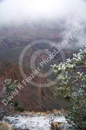 Snow storm at the South Rim of the Grand Canyon, Arizona, USA.