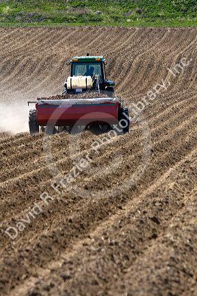 Farmer planting potato crop in Canyon County, Idaho, USA.