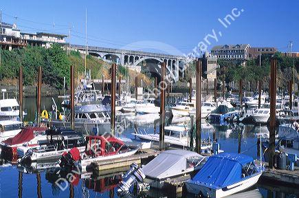 Boats docked at Depoe Bay, Oregon.