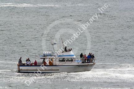 Whale watching tour boat in the Pacific Ocean at Depoe Bay, Oregon, USA.