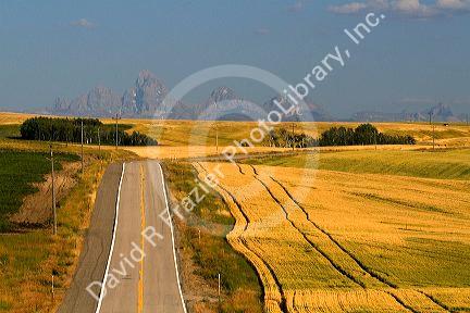 Teton Range in the distance along Idaho Highway 32 near Ashton, Idaho, USA.