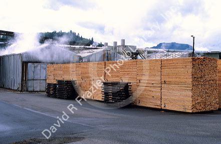 A lumber drying kiln in Washington.