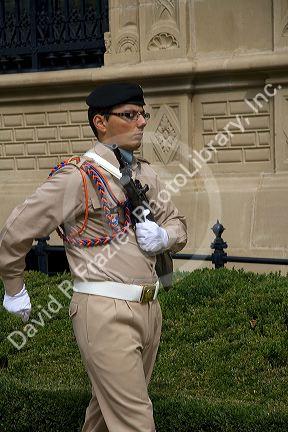 Military of Luxembourg soldier guarding the Grand Ducal Palace in Luxembourg City, Luxembourg.