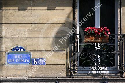 Flower box on the balcony of a building located in the Latin Quarter of Paris, France.