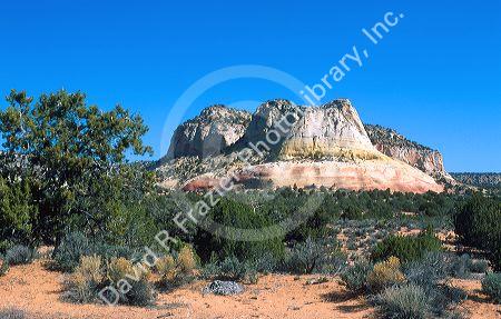 Sandstone butte east of Kanab, Utah with juniper trees in desert foreground.