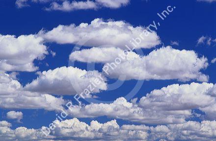 Cumulus clouds in a blue sky.