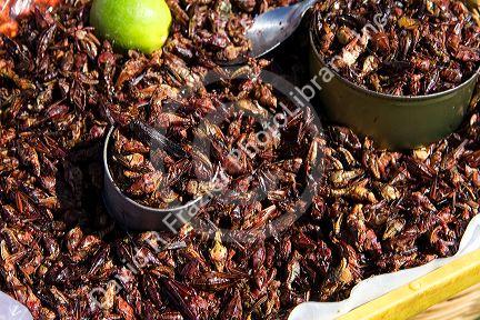 Street vendor selling fried grasshoppers in Cholula, Puebla, Mexico.