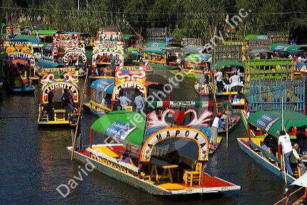 Colorful trajineras travel on the Xochimilco canals within Mexico City, Mexico.