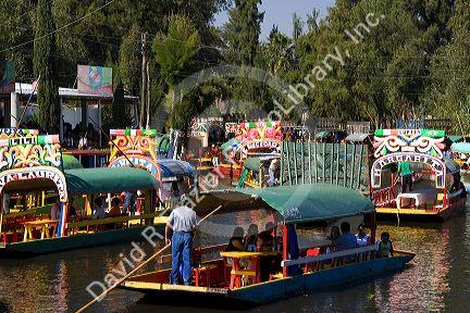 Colorful trajineras travel on the Xochimilco canals within Mexico City, Mexico.