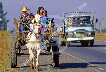 Chilean family riding in a horse drawn cart in rural Chile.