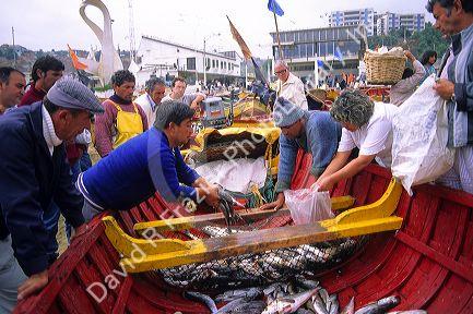 Fishermen sell fresh caught fish out of boats on the beach at Valparaiso, Chile.