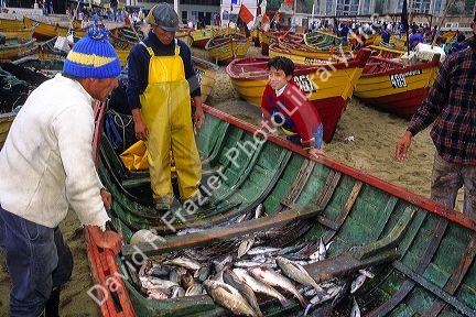 Fishermen sell fresh caught fish out of boats on the beach at Valparaiso, Chile.