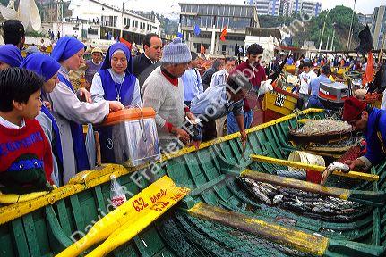 Fishermen sell fresh caught fish out of boats on the beach at Valparaiso, Chile.