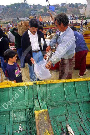 Fishermen sell fresh caught fish out of boats on the beach at Valparaiso, Chile.