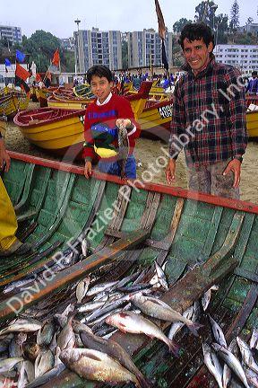 Fishermen sell fresh caught fish out of boats on the beach at Valparaiso, Chile.