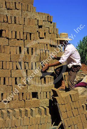 Adobe bricks being made at Talca, Chile.