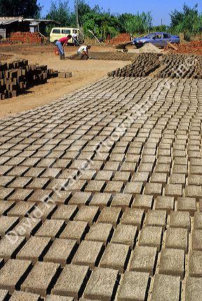Adobe bricks being made at Talca, Chile.