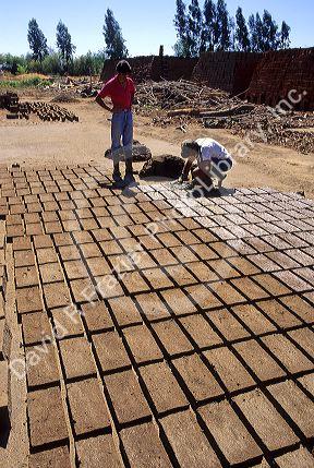 Adobe bricks being made at Talca, Chile.