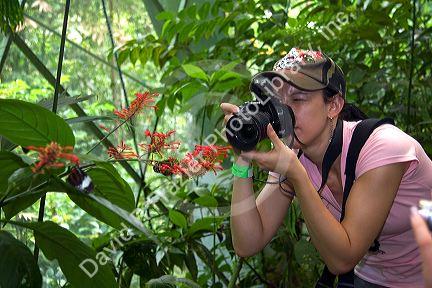 Tourists taking photos of butterflies in the Veragua Rainforest Research and Adventure Park near Limon, Costa Rica.
