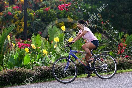 Bicyclist riding past a flower garden near Siquirees, Limon province, Costa Rica.
